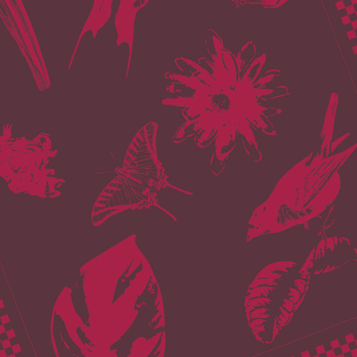 Cxl By Christian Lacroix SET DE 2 TORCHONS PRIMAVERA - Gris Foncé / Bordeaux