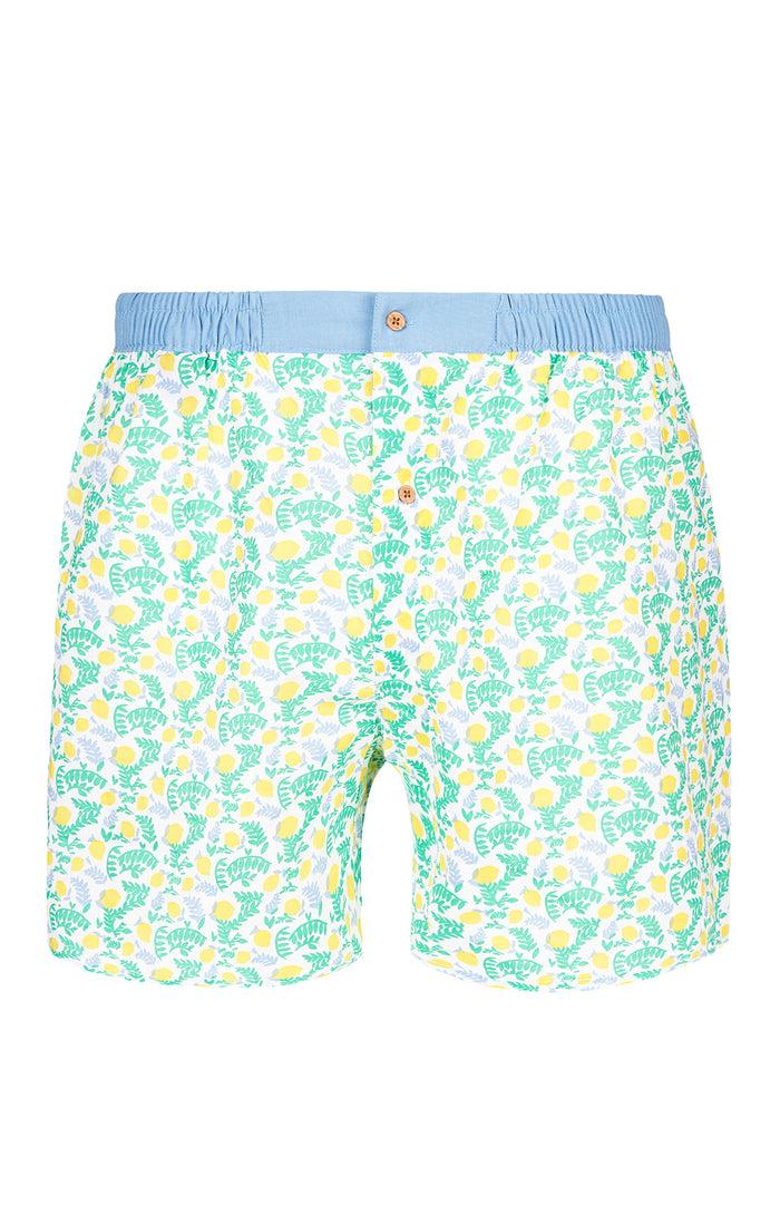 Dagobear Caleçon Classique 003
