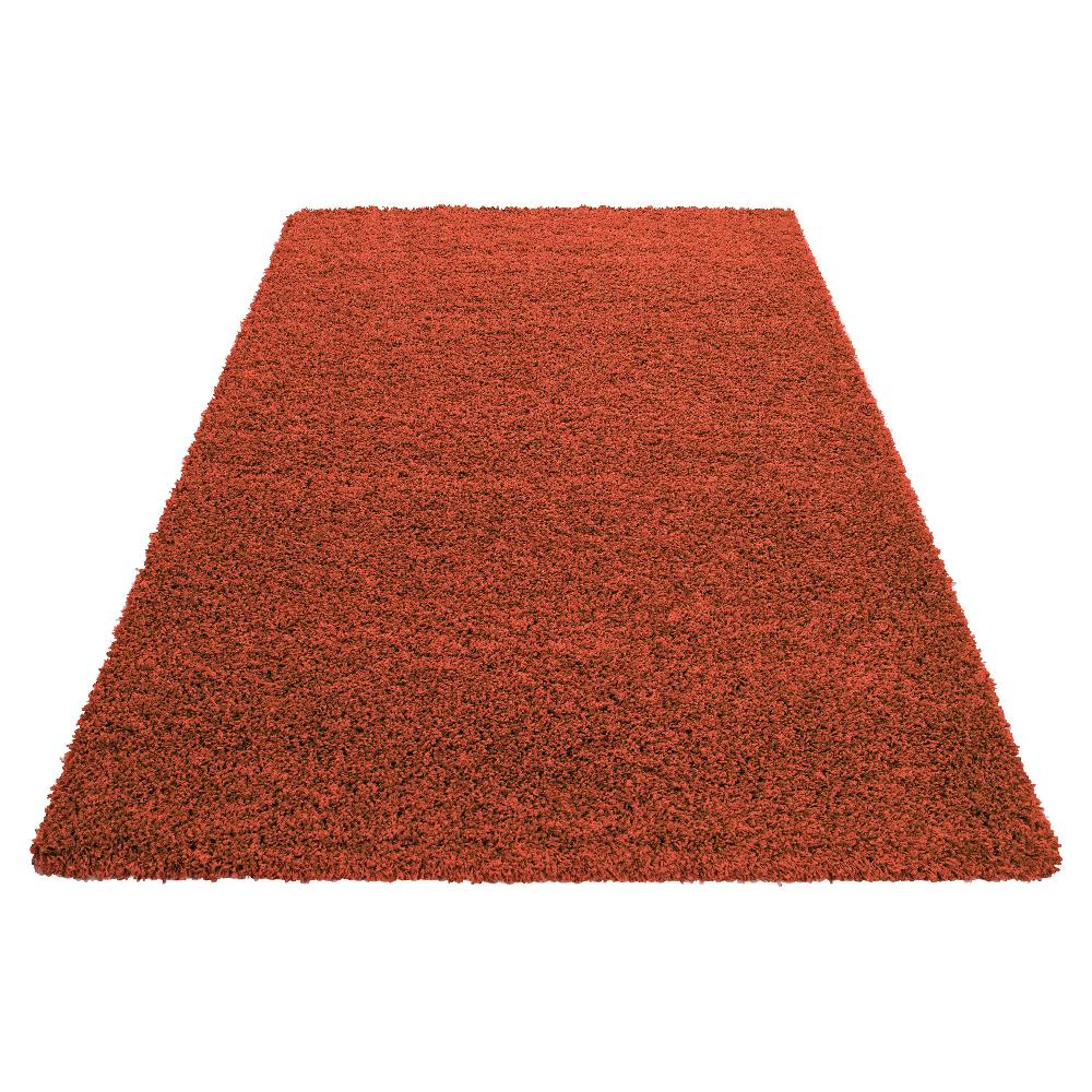 Deco Tapis Tapis Shaggy Uni à Poils Longs