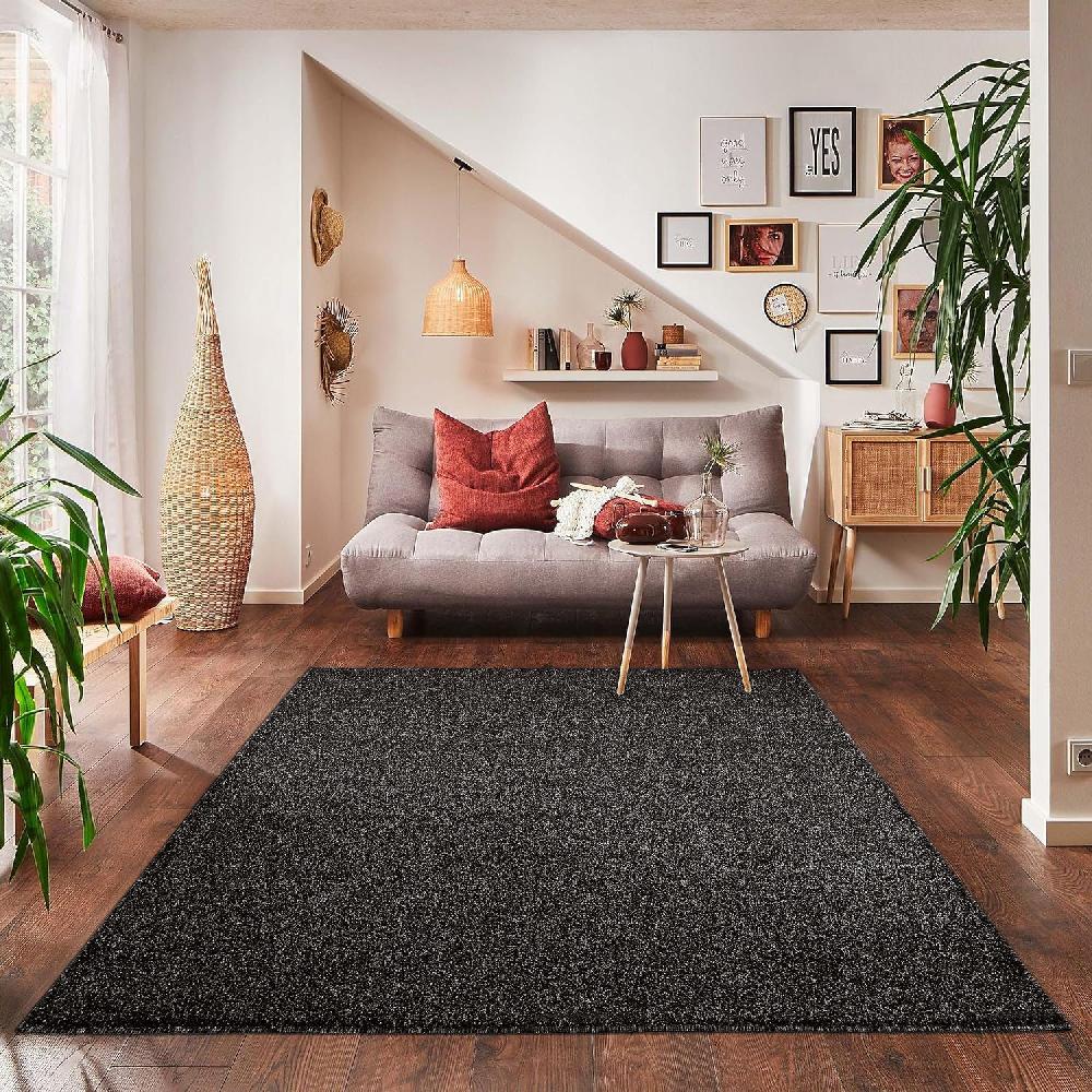 Deco Tapis Tapis Uni à Poils Courts