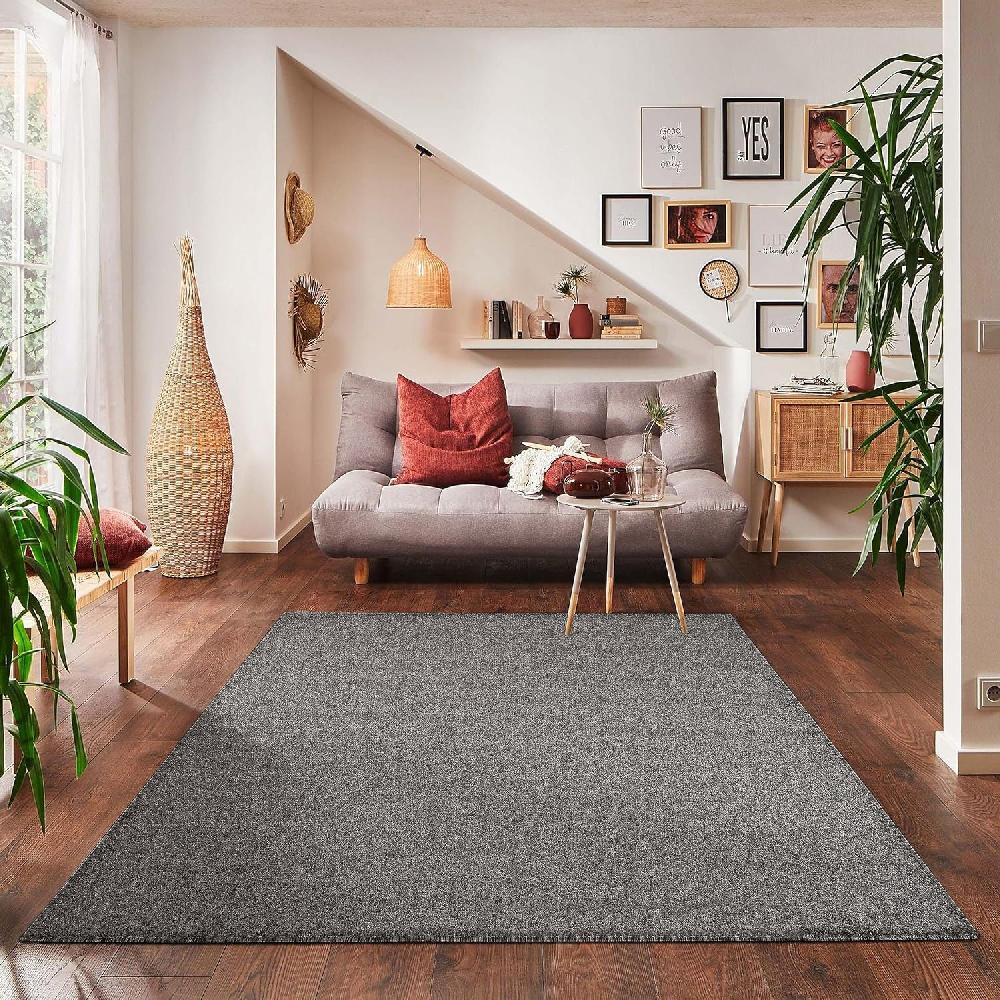 Deco Tapis Tapis Uni à Poils Courts