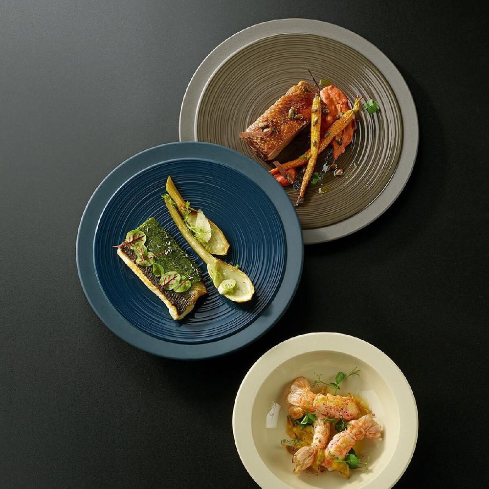 Degrenne Paris BAHIA BASALTE Assiette Gourmet Grand Bassin 26 Cm