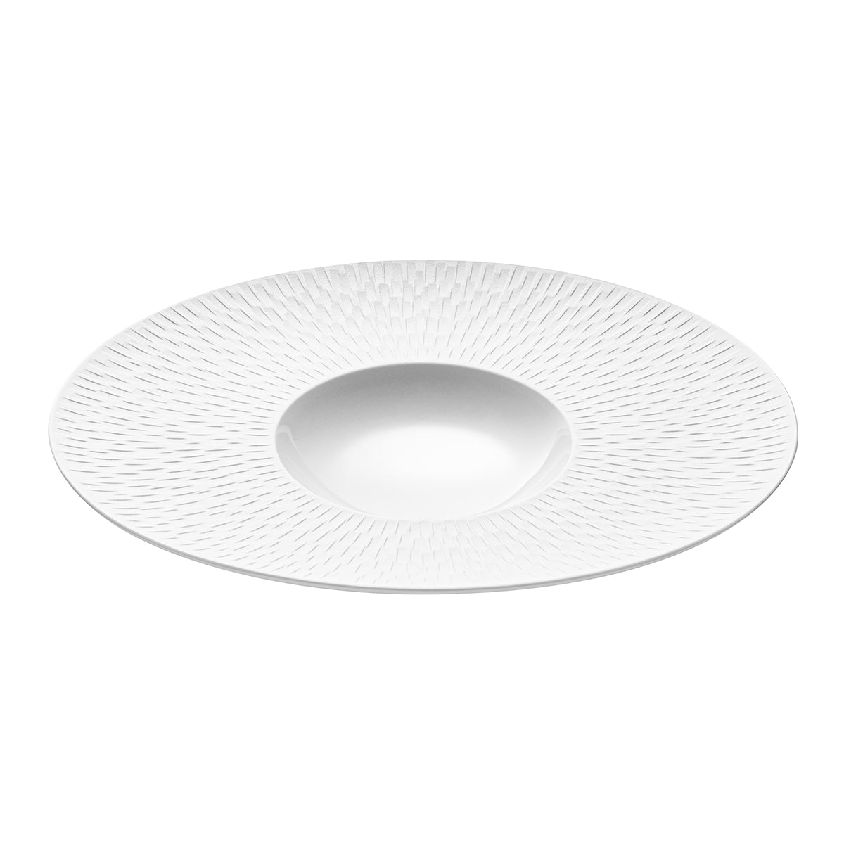Degrenne Paris BOREAL SATIN BLANC Assiette Gourmet Ovale Petit Bassin 30 X 26 Cm