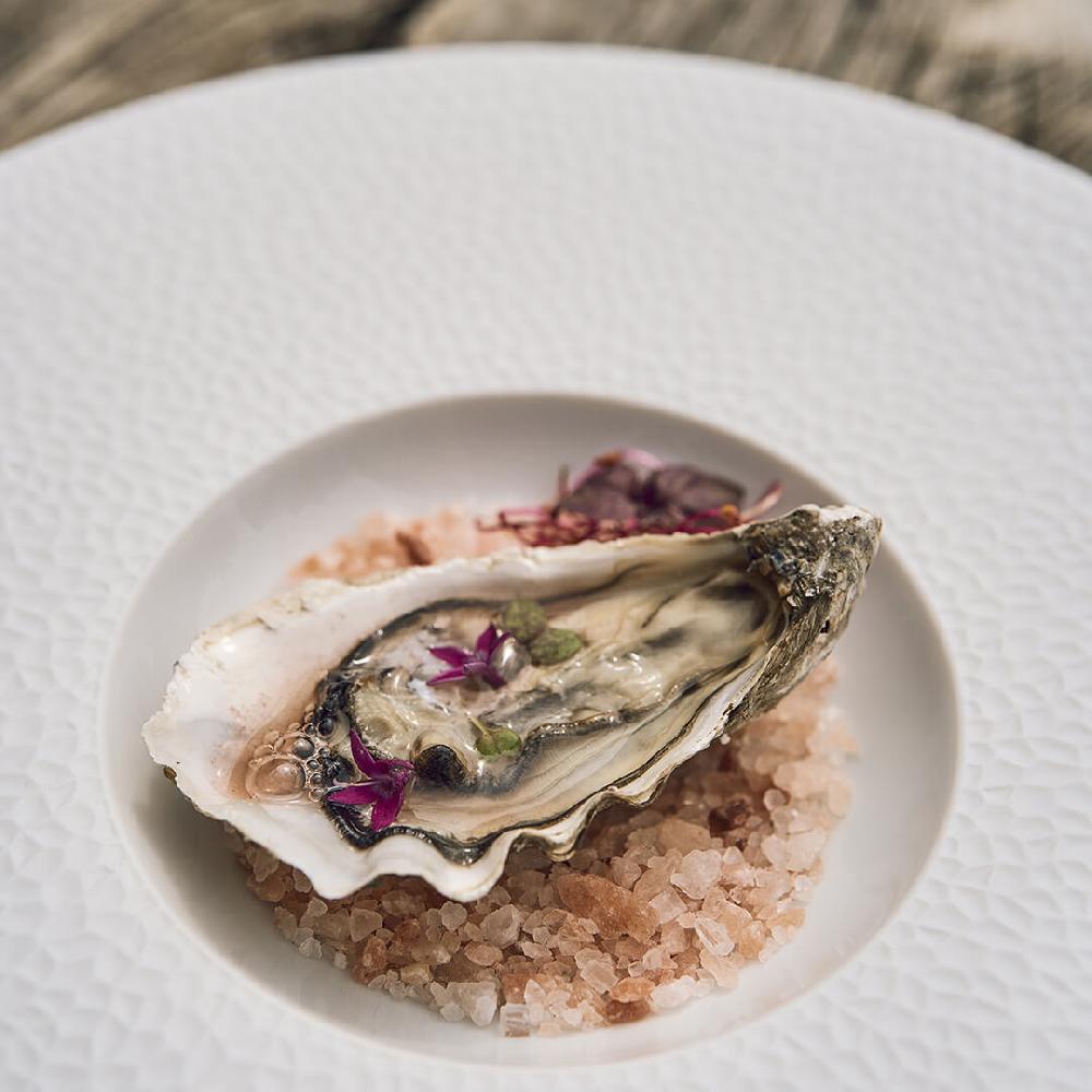 Degrenne Paris COLLECTION L FRAGMENTS BLANC Assiette Gourmet Petit Bassin 27.9 Cm