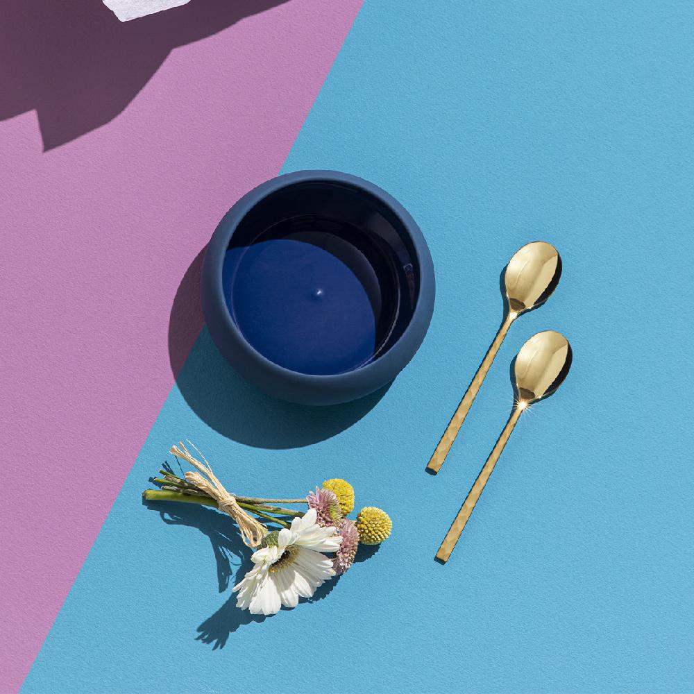 Degrenne Paris GOURMET BLEU Cocotte 50 Cl