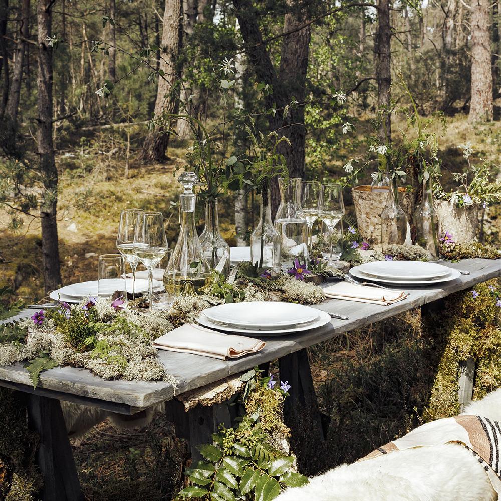 Degrenne Paris SUPERNATURE Assiette à Pain 14 Cm