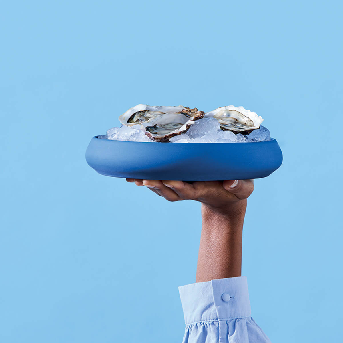 Degrenne Paris GOURMET BLEU Grande Assiette Cocotte 22 Cm