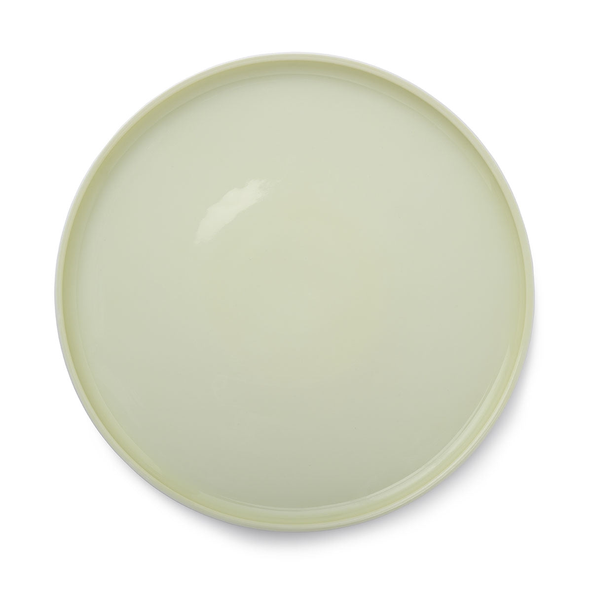 Degrenne Paris LA VAISSELLE DE L'ECONOME ARTICHAUT VERT Coffret 4 Assiettes 24 Cm