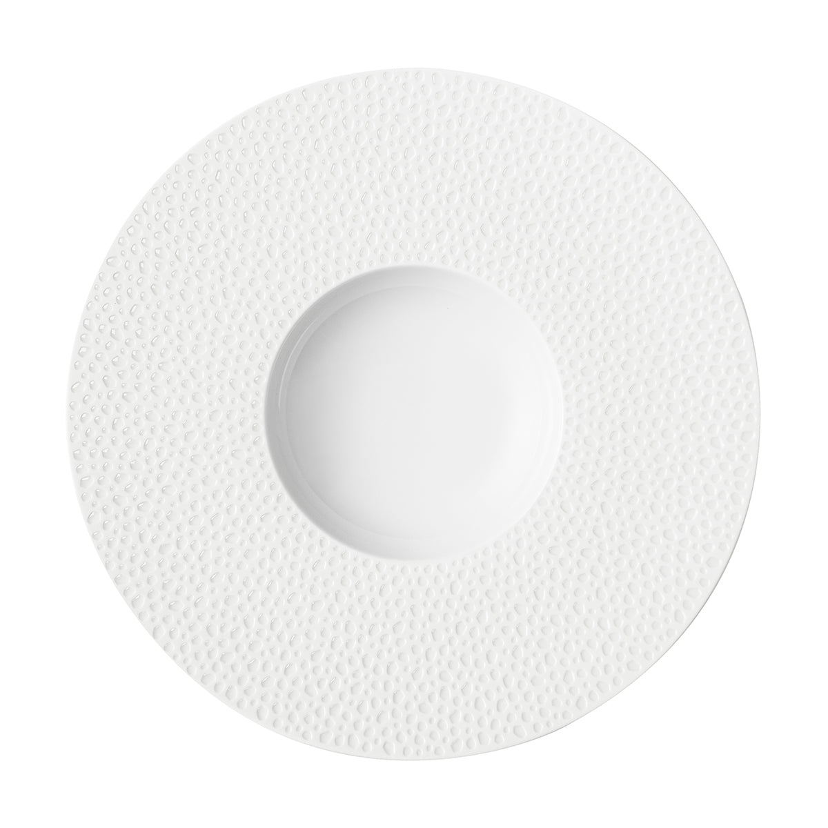 Degrenne Paris PERLES DE ROSEE BLANCHES Assiette Gourmet Petit Bassin 28 Cm