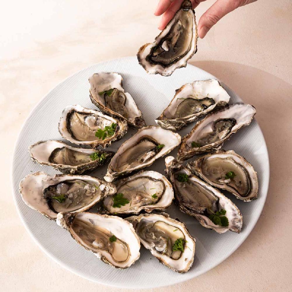 Degrenne Paris RIVAGE BLANC Assiette De Présentation 32cm