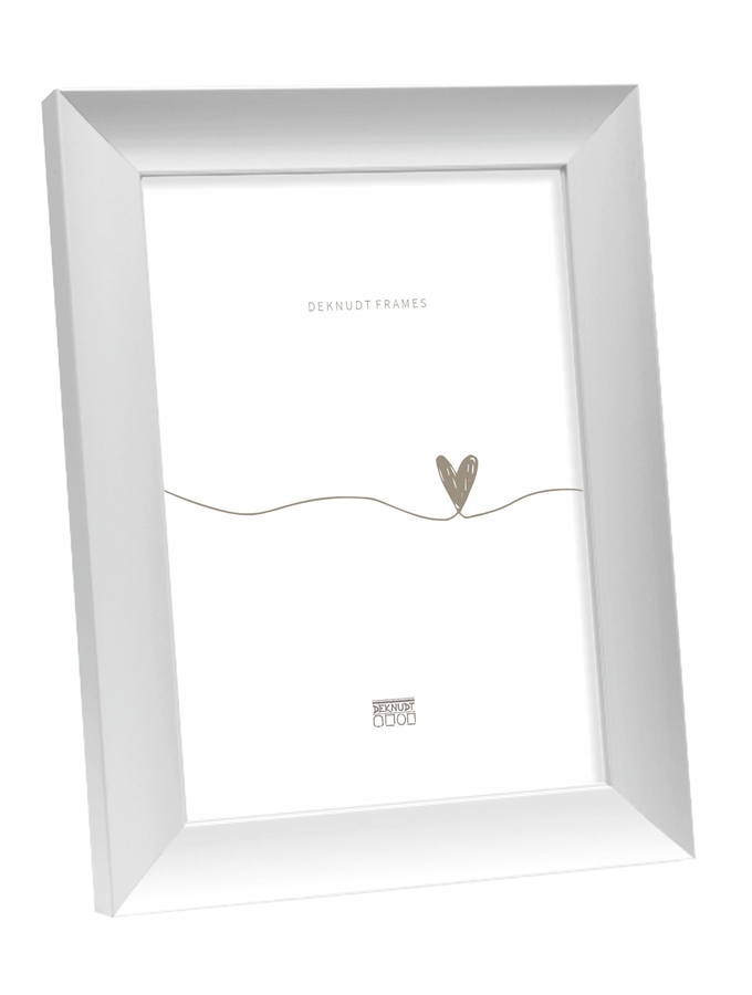 deknudt frames Cadre couleur argenté en aluminium S021D1