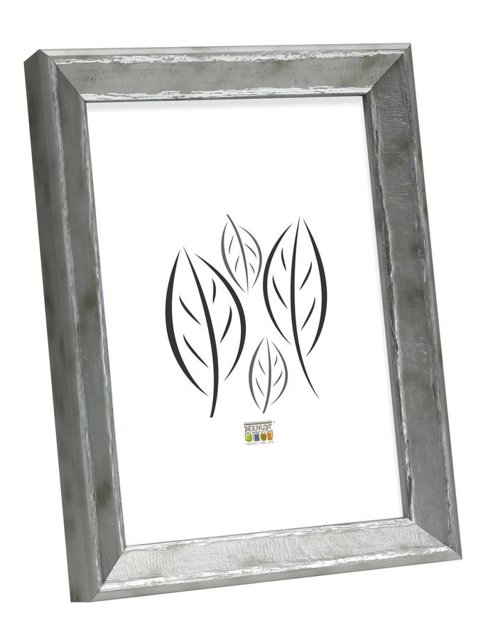 deknudt frames Cadre photo en argenté avec filet argenté S46DD1