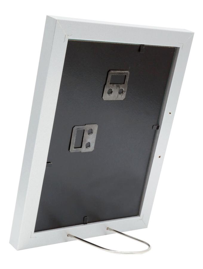 Deknudt Frames Cadre Photo En Couleur Argenté Avec Passe-partout Blanc S66KD1 P1