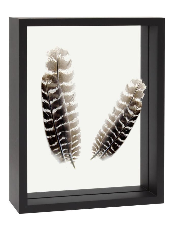 Deknudt Frames Cadre Verre Avec Bord Bois Noir Et Avec Effet Photo Flottant S68SK2