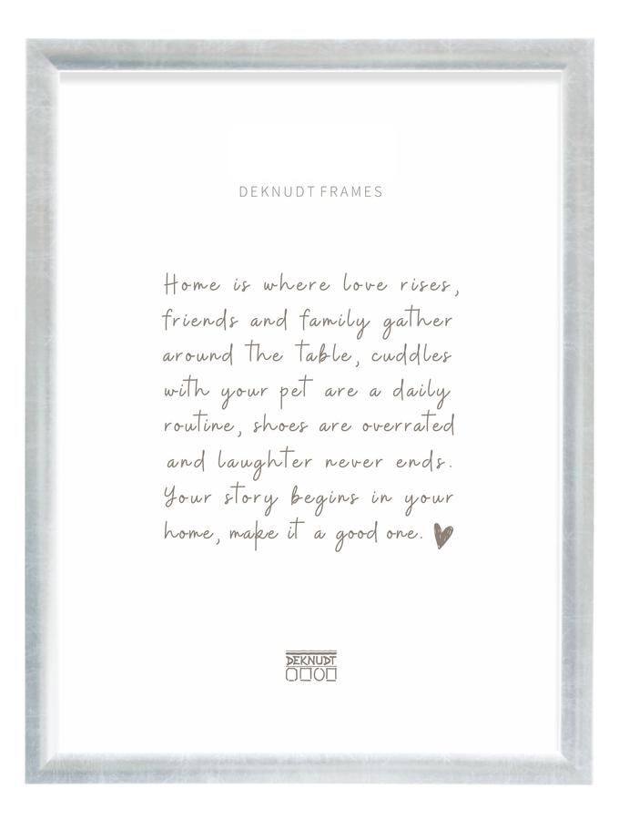 Deknudt Frames Cadre En Couleur Argenté S54SD2