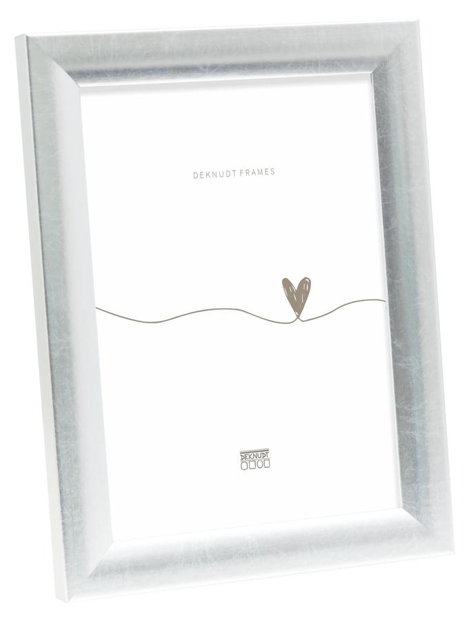 deknudt frames Cadre en couleur argenté S54SD2