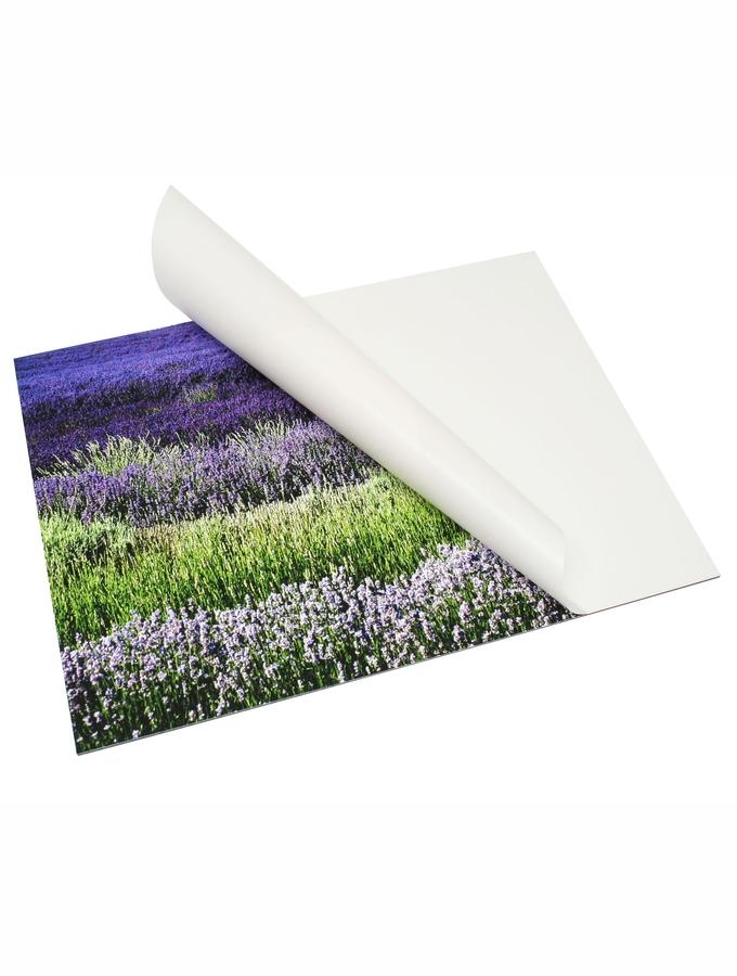 deknudt frames DKbond autocollant S43SDI