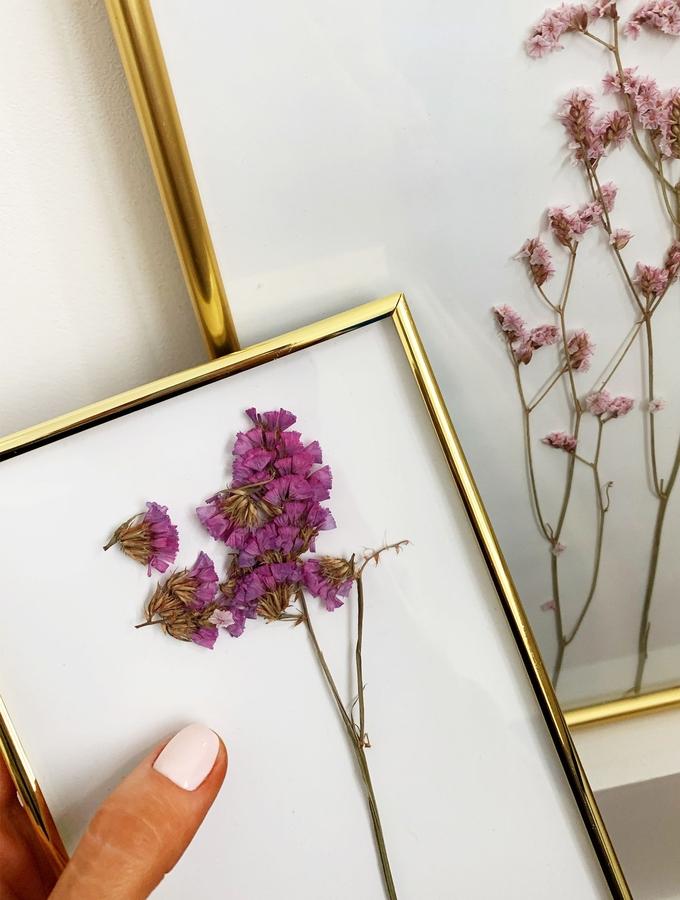 Deknudt Frames Encadrement Fin En Métal En Couleur Doré Brillant S58MS3