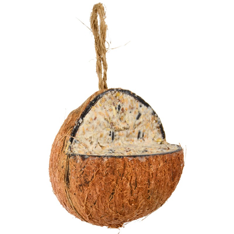 dema 3/4 de noix de coco avec nourriture oiseaux 400 Gr