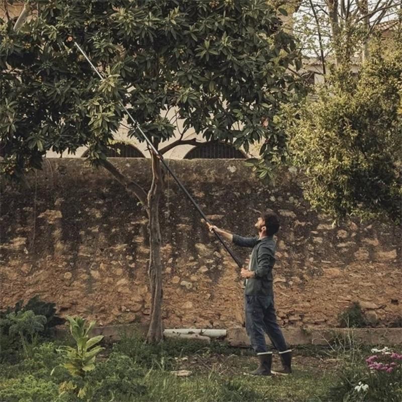 Dema Coupe-branche Sur Perche FISKARS UPX86 240-400cm