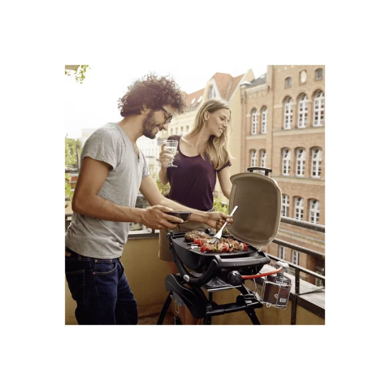 Dema Barbecue Gaz WEBER Q1100N Black