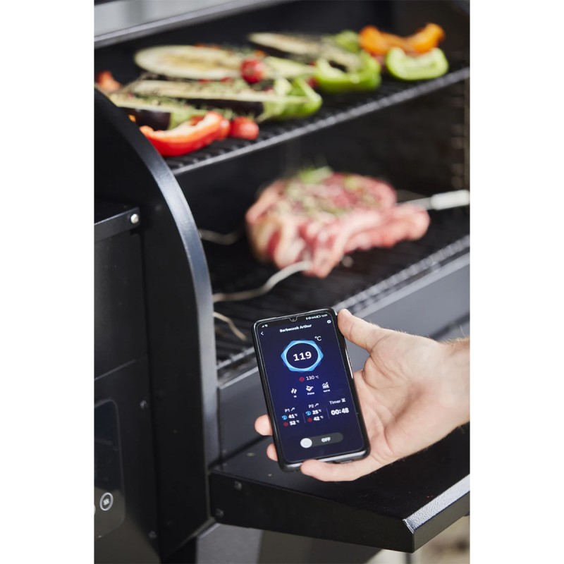 Dema Barbecue Pellets Arthur Black BARBECOOK 2300W