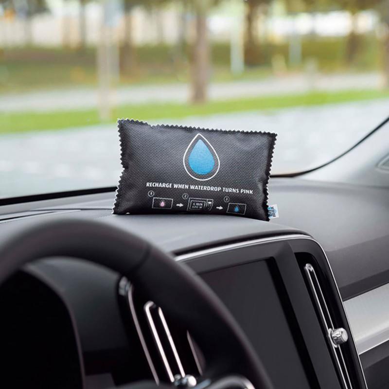 Dema BISON Absorbeur D'humidité Pour Véhicule