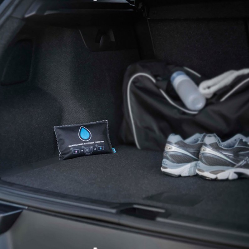 Dema BISON Absorbeur D'humidité Pour Véhicule