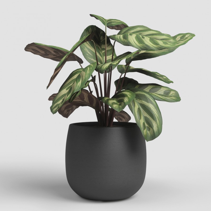 Dema Cache-pot Rond Céramique HEMERA 20 Anthracite