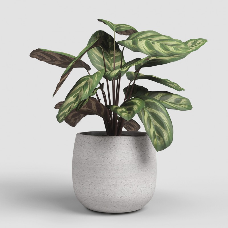 Dema Cache-pot Rond Céramique HEMERA 20 Crème