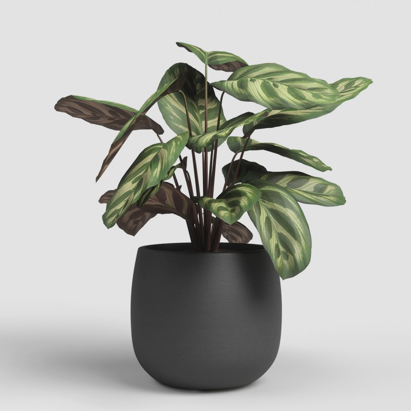 Dema Cache-pot Rond Céramique HEMERA 25 Anthracite