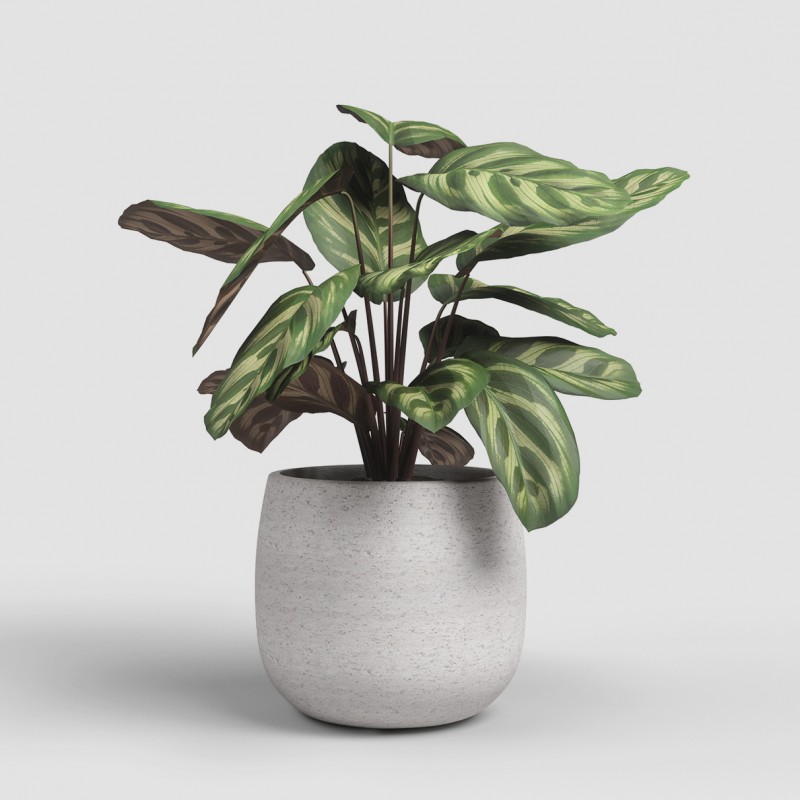 Dema Cache-pot Rond Céramique HEMERA 25 Crème