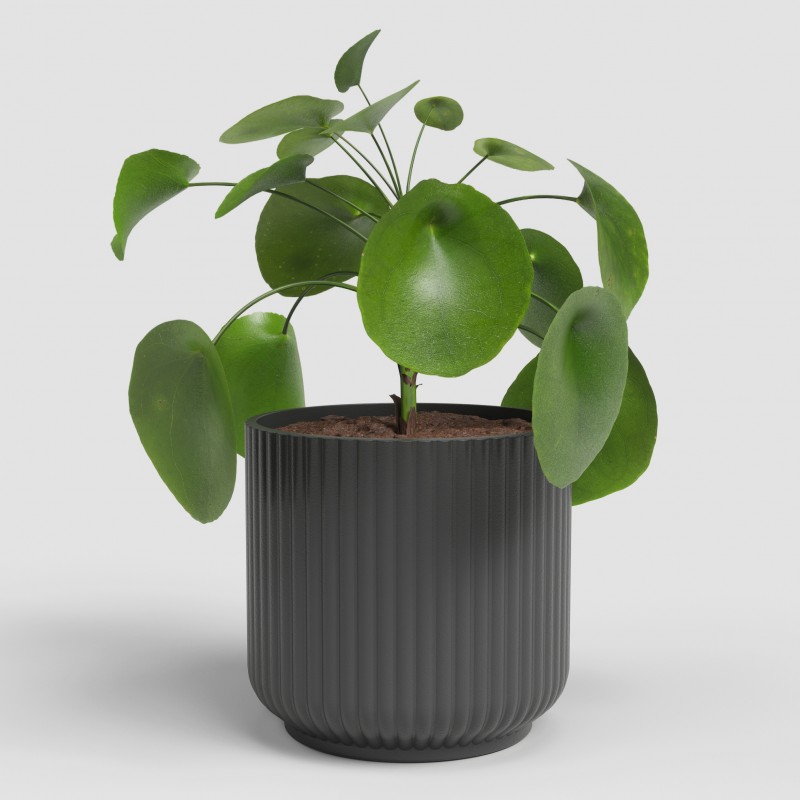 Dema Cache-pot Rond Céramique LUNA 21 Anthracite