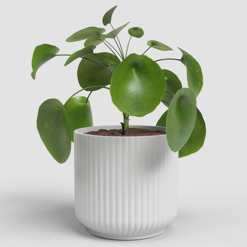 Dema Cache-pot Rond Céramique LUNA 25 Blanc