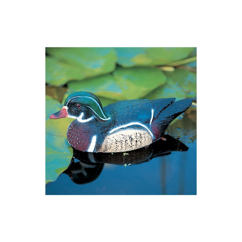 dema Canard CAROLIN UBBINK