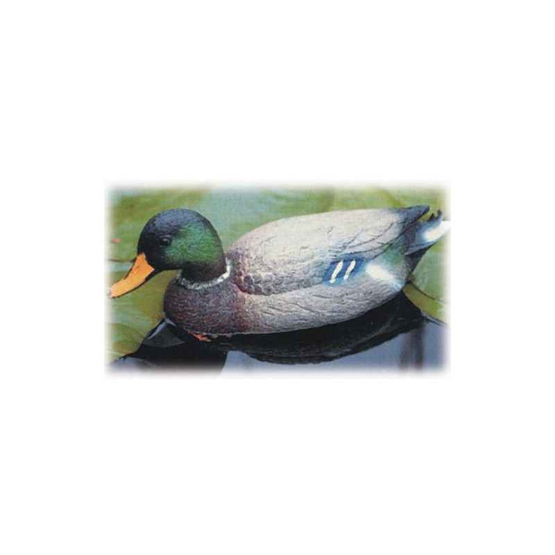 dema Canard COLVERT UBBINK