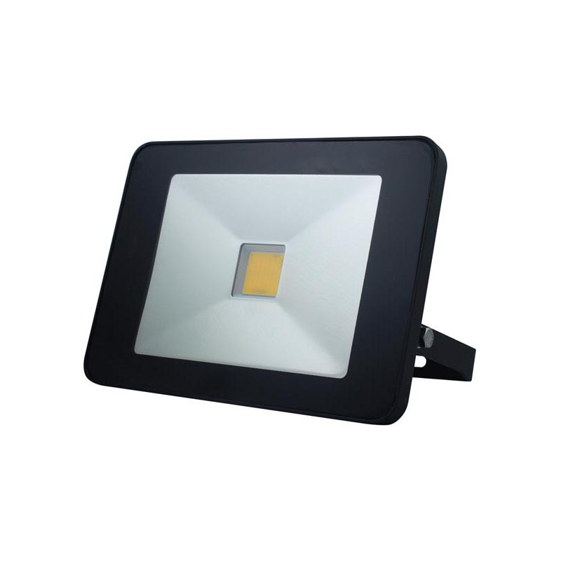 dema Projecteur LED 30W avec détecteur invisible