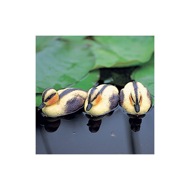 dema Sujet de bassin - Caneton