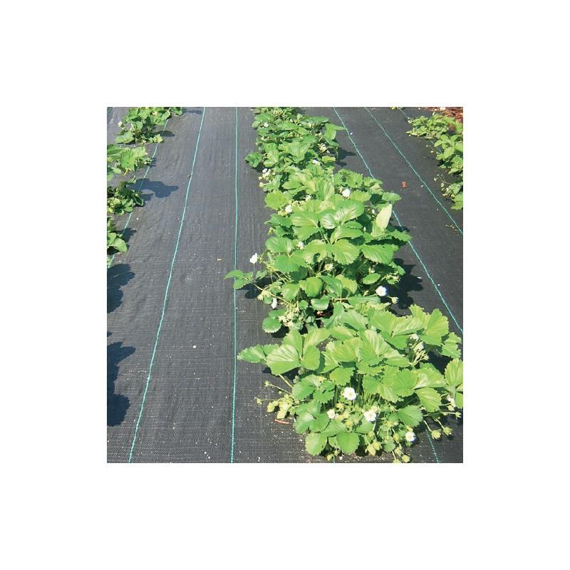 Dema Toile Anti-racines 1x25m