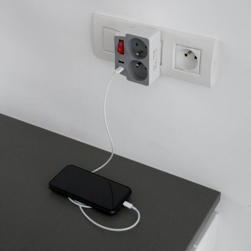 Dema Domino 2P 16A +USB / USB C Gris/blanc Avec Interrupteur