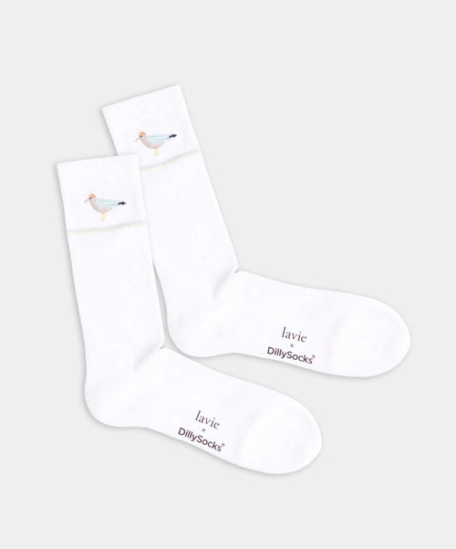 dilly socks Notre chaussettes: Aksel the gull