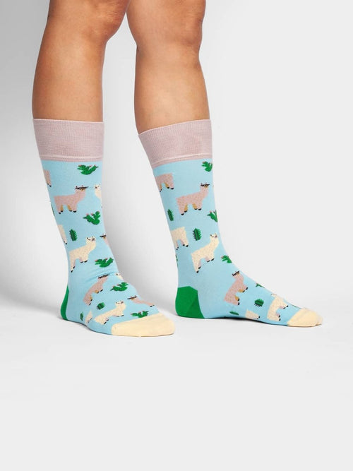 Dilly Socks Notre Chaussettes: Alpaca Gang