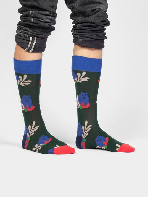 Dilly Socks Notre Chaussettes: Bear Says Hello