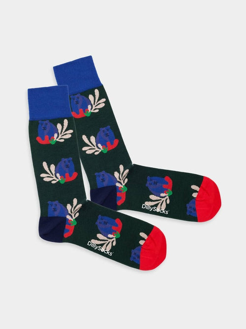 dilly socks Notre Chaussettes: Bear Says Hello