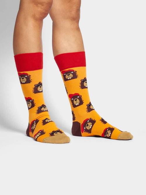Dilly Socks Notre Chaussettes: Bievers In The Hood
