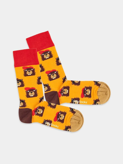 dilly socks Notre Chaussettes: Bievers In The Hood