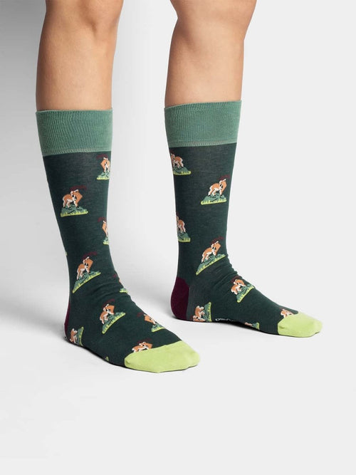 Dilly Socks Notre Chaussettes: Capricorn Climb