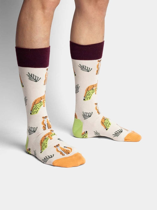 Dilly Socks Notre Chaussettes: Chillaxing Cat