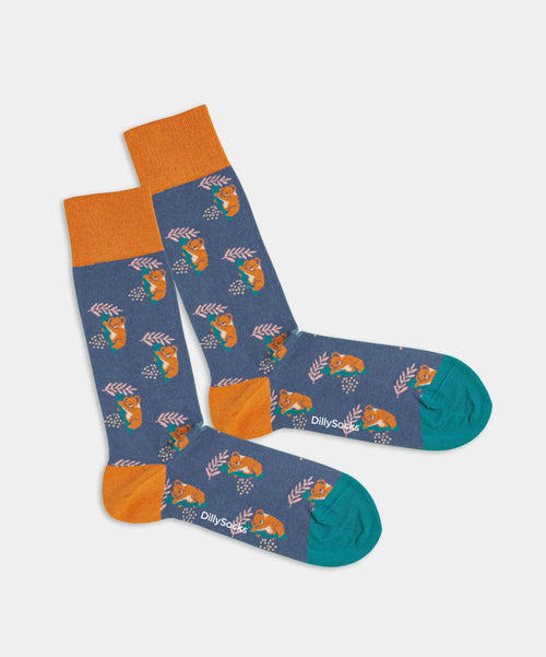 dilly socks Notre chaussettes: Comfy Koala