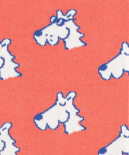 Dilly Socks Notre Chaussettes: Cool Dog
